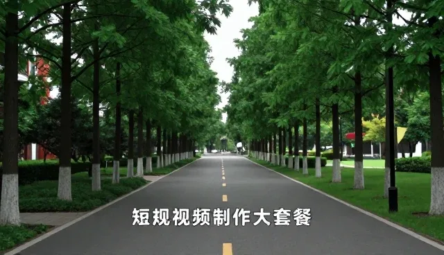 新媒体运营选型中的应用场景分析与关注点
